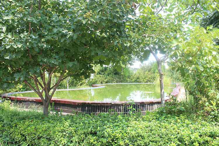 乐鱼网页版登录入口-乐鱼(中国) 机械厂区环境优美.jpg